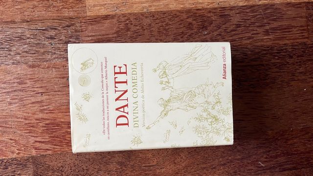 Divina Comedia (13/20) (Spanish Edition)