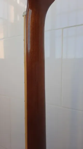 Guitarra Acústica Harley Benton D-120VS