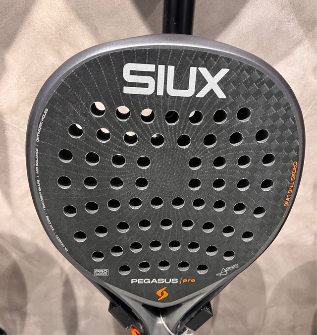 PALA Siux Pegasus Pro Storm Grey 2026