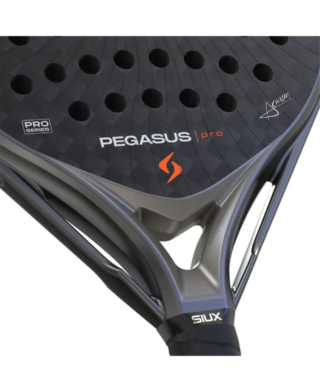 PALA Siux Pegasus Pro Storm Grey 2026