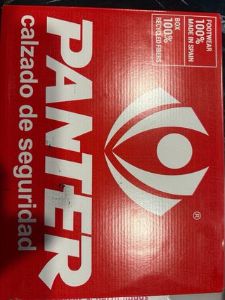 Zapato de seguridad Panter gris