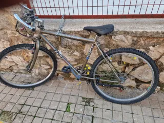 Bicicleta