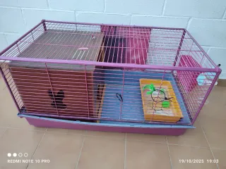 Jaula y caseta para conejo