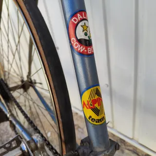 Bicicleta Vintage Dilecta Le Blanc