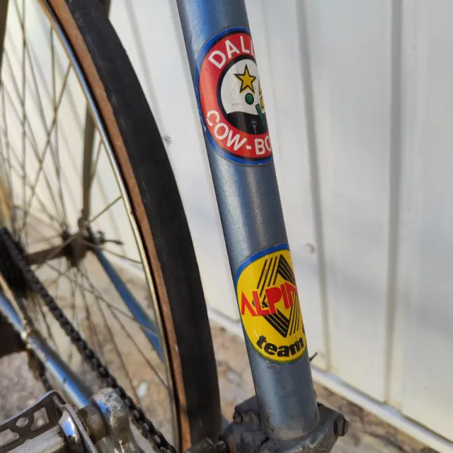 Bicicleta Vintage Dilecta Le Blanc