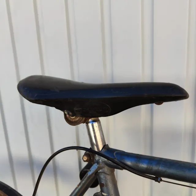 Bicicleta Vintage Dilecta Le Blanc