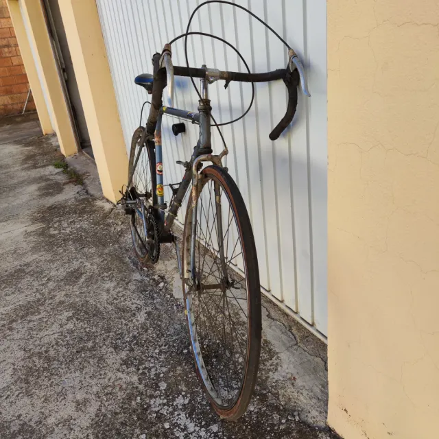 Bicicleta Vintage Dilecta Le Blanc