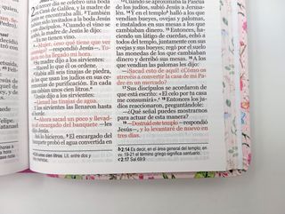 Biblia NVI portatil letra grande
