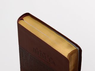 Biblia NVI letra grande