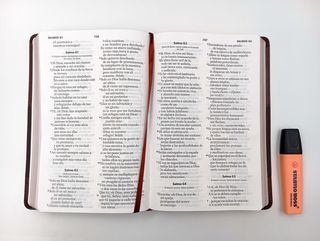 Biblia NVI letra grande