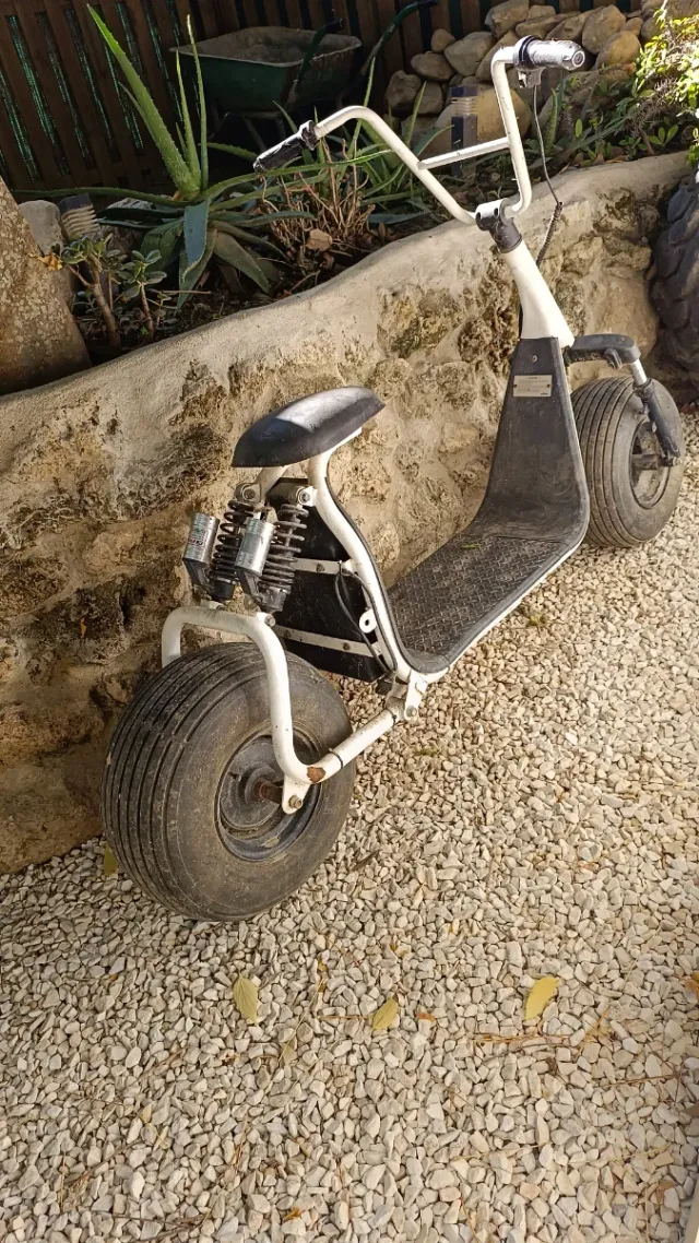 Citycoco Scooter Eléctrico