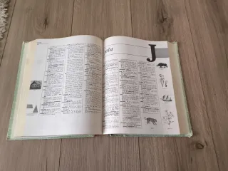 Diccionario Anaya de la lengua