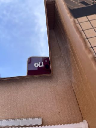 Placca di scarico wc OLI