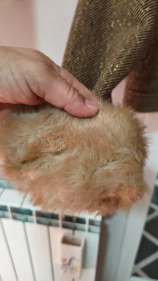 Cazadora corta con cuello de pelo