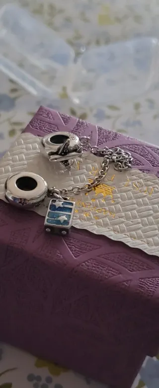 Cadena Seguridad Plata Avión Maleta