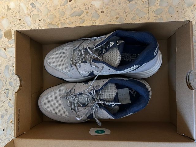 Deportivas Nike Beige y Azul