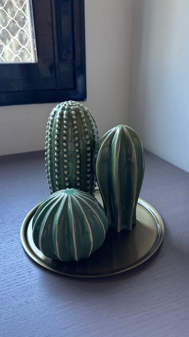 Bandeja decorativa con 3 cactus Ikea
