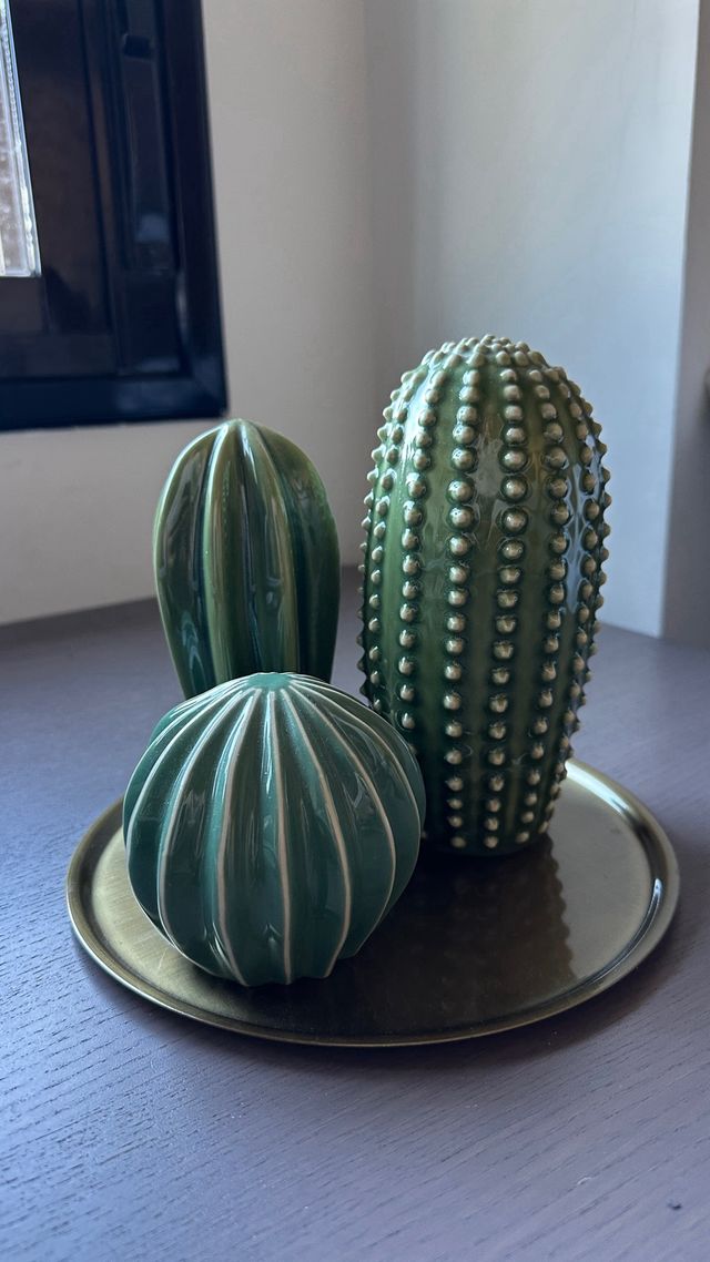 Bandeja decorativa con 3 cactus Ikea