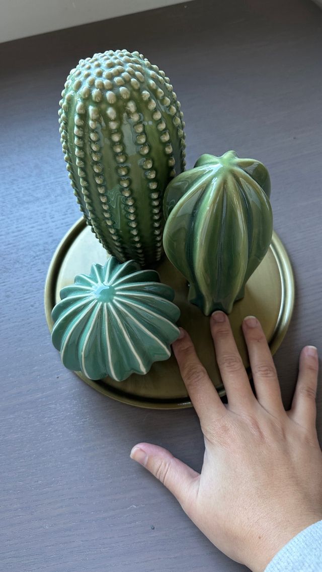 Bandeja decorativa con 3 cactus Ikea