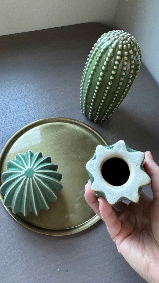 Bandeja decorativa con 3 cactus Ikea