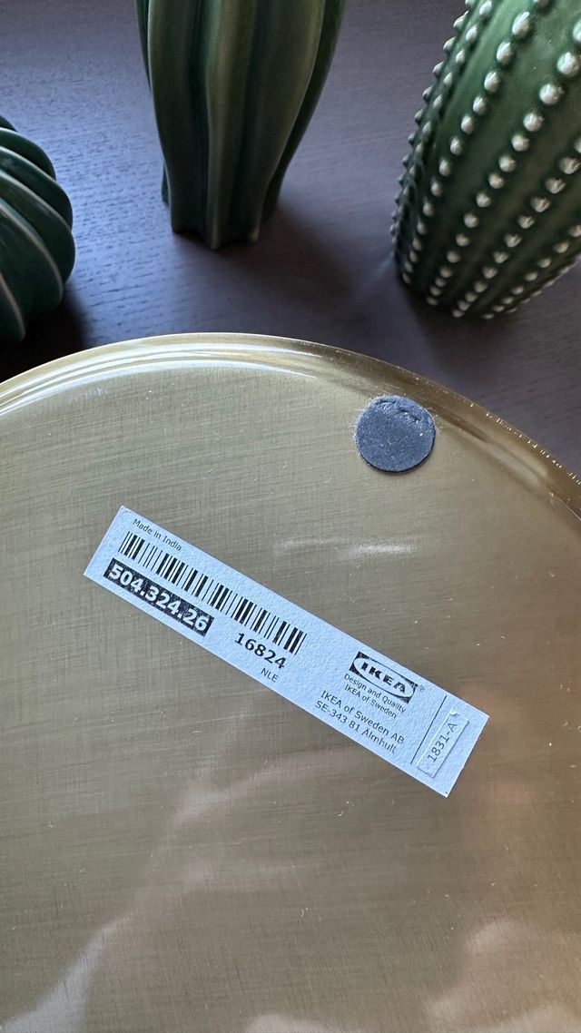 Bandeja decorativa con 3 cactus Ikea