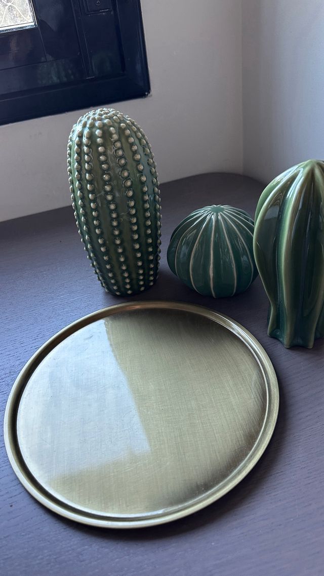 Bandeja decorativa con 3 cactus Ikea