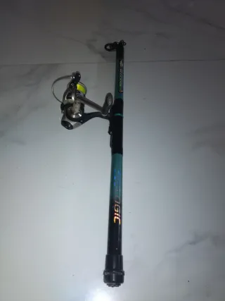 Caña de pesca  para carapa con carrete