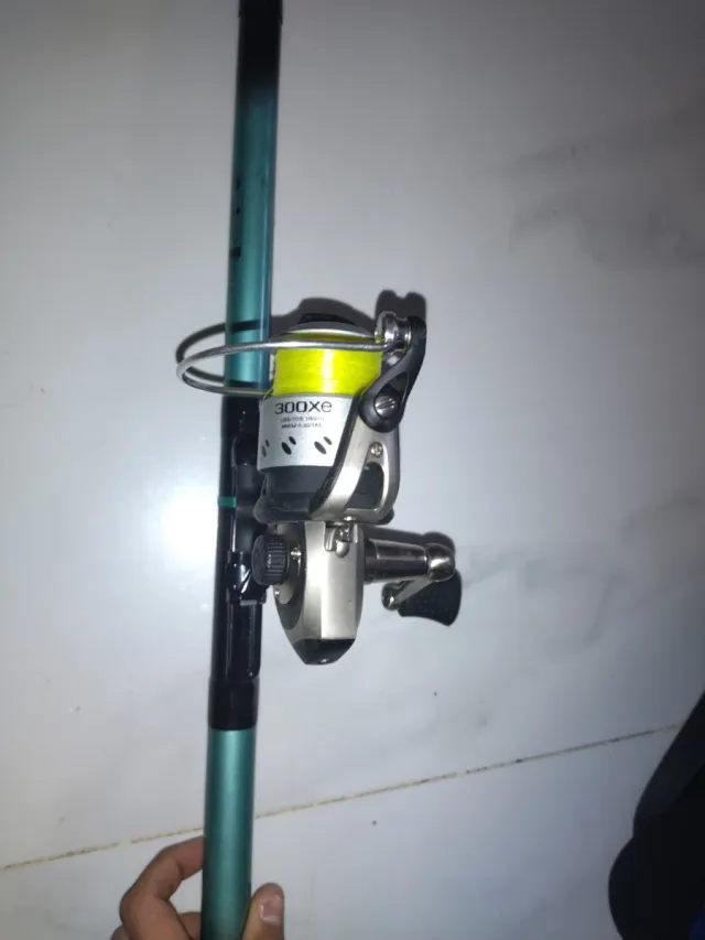 Caña de pesca  para carapa con carrete