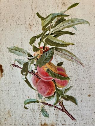 Vassoio decorativo vintage