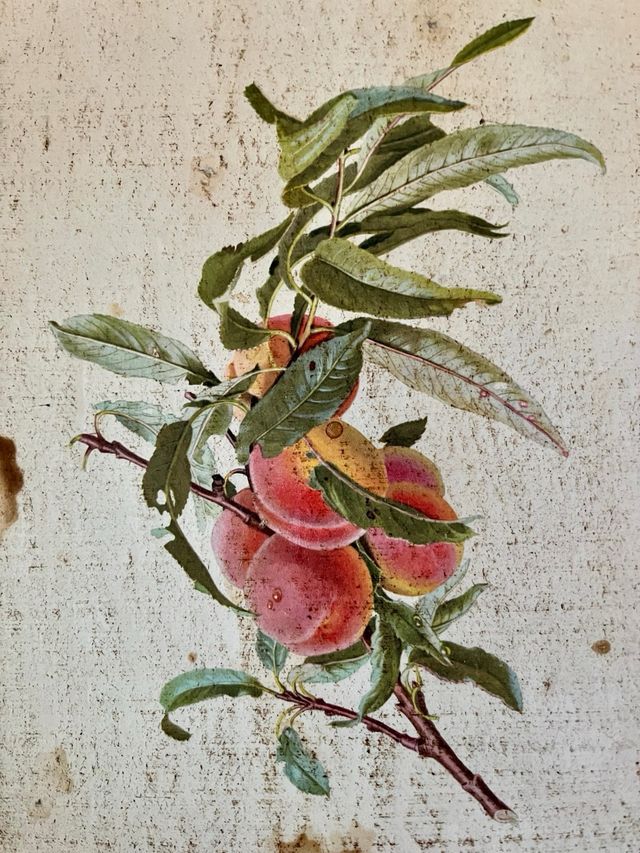 Vassoio decorativo vintage