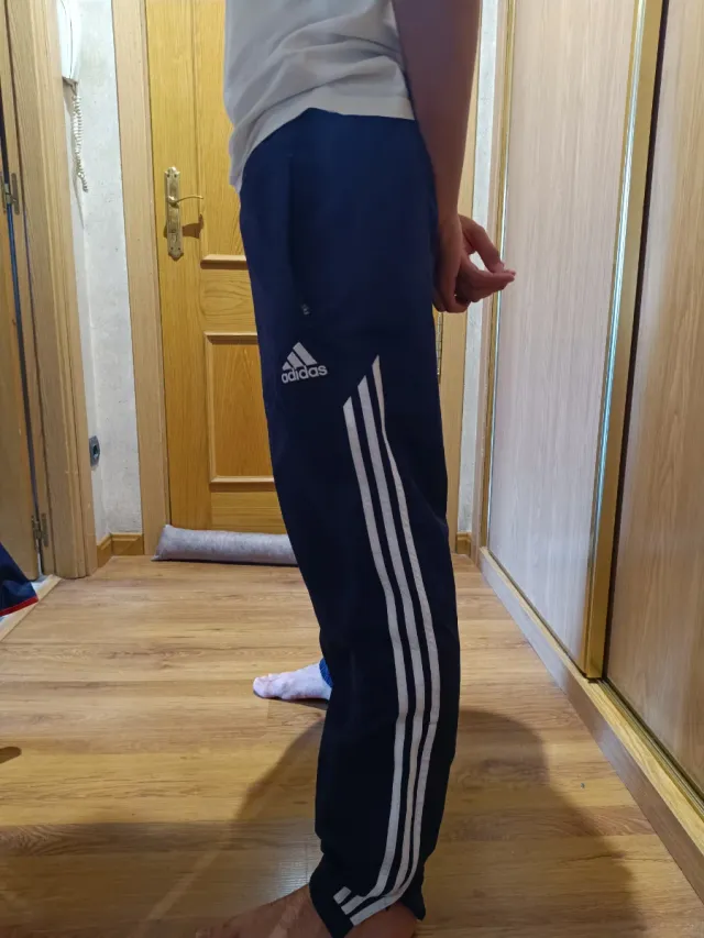 Pantalón Chándal Real Madrid Adidas Azul