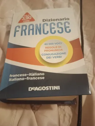 Dizionario francese