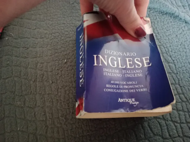 Dizionario inglese