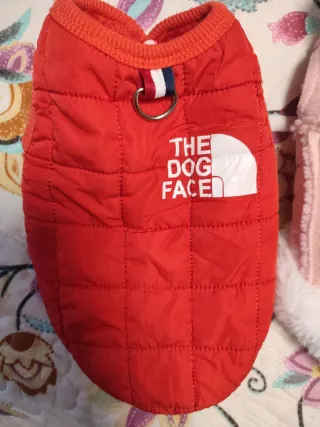 Ropa para perro Caniche Toy Talla S/XS.