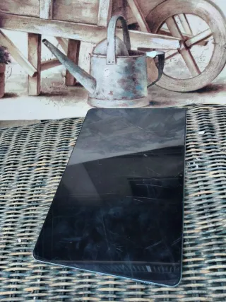 Tablet Doogee T30 Pro Blu