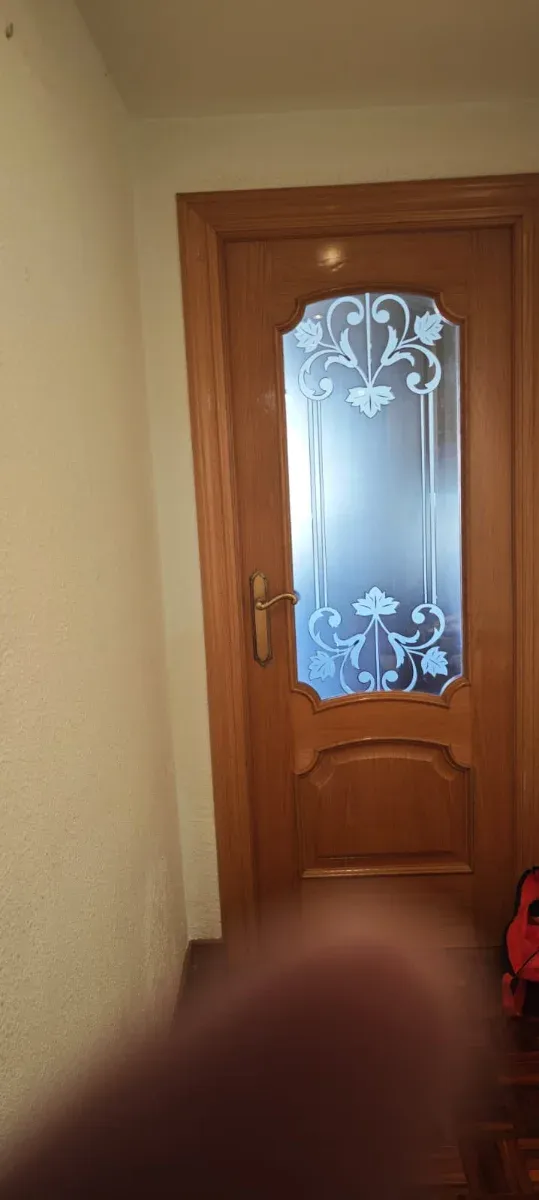 Puerta de interior de madera con cristal.