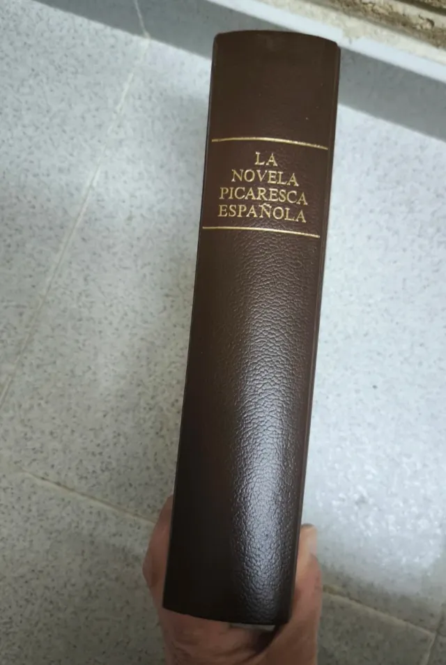 La novela picaresca española