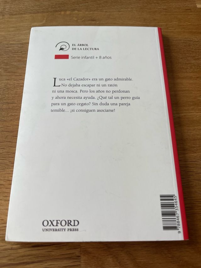 Gato cegato busca perro guía
