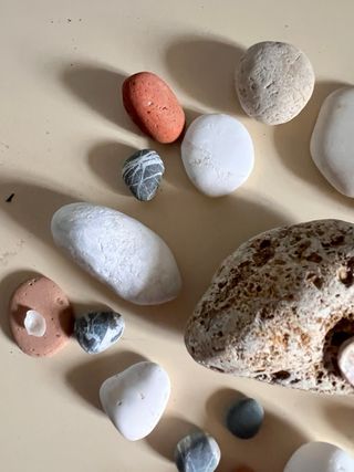 Ricordi di mare: sassi e conchiglie