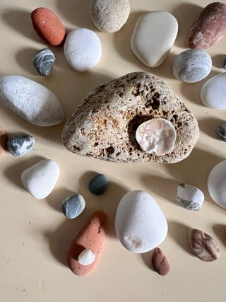 Ricordi di mare: sassi e conchiglie