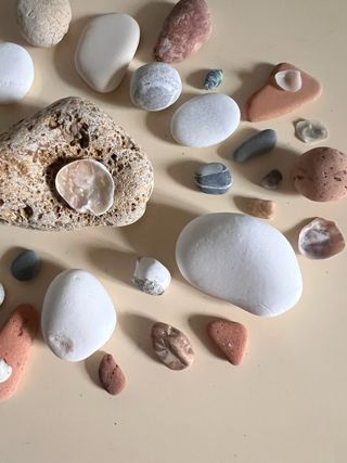 Ricordi di mare: sassi e conchiglie