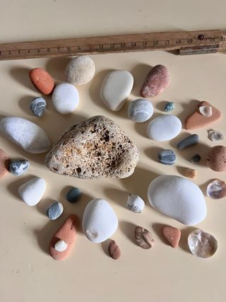 Ricordi di mare: sassi e conchiglie