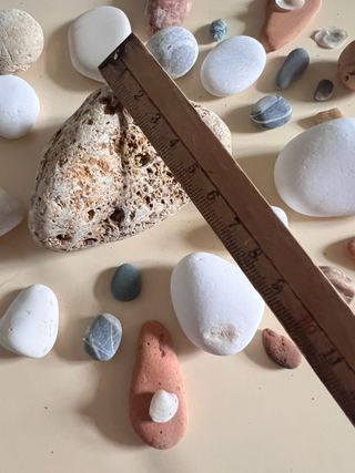 Ricordi di mare: sassi e conchiglie