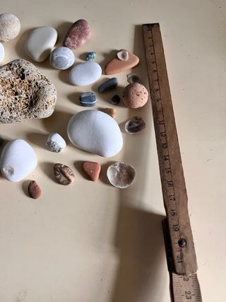 Ricordi di mare: sassi e conchiglie