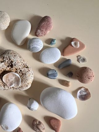 Ricordi di mare: sassi e conchiglie