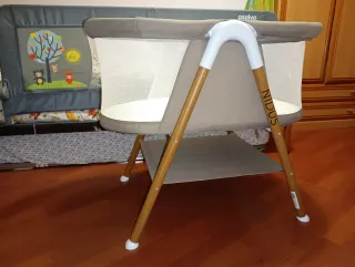 Minicuna Asalvo Nidus