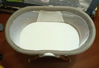 Minicuna Asalvo Nidus