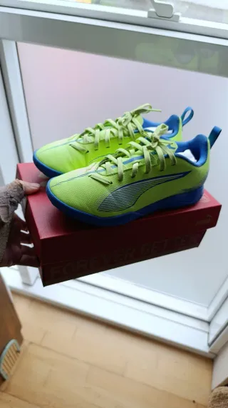 Zapatillas Fútbol Sala Puma Niño Talla 35