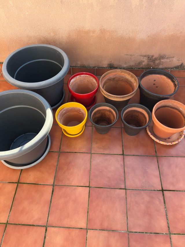 Lote Macetas terracota y Plástico Variadas
