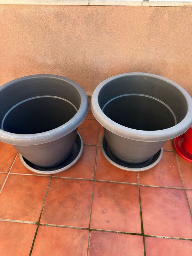 Lote Macetas terracota y Plástico Variadas